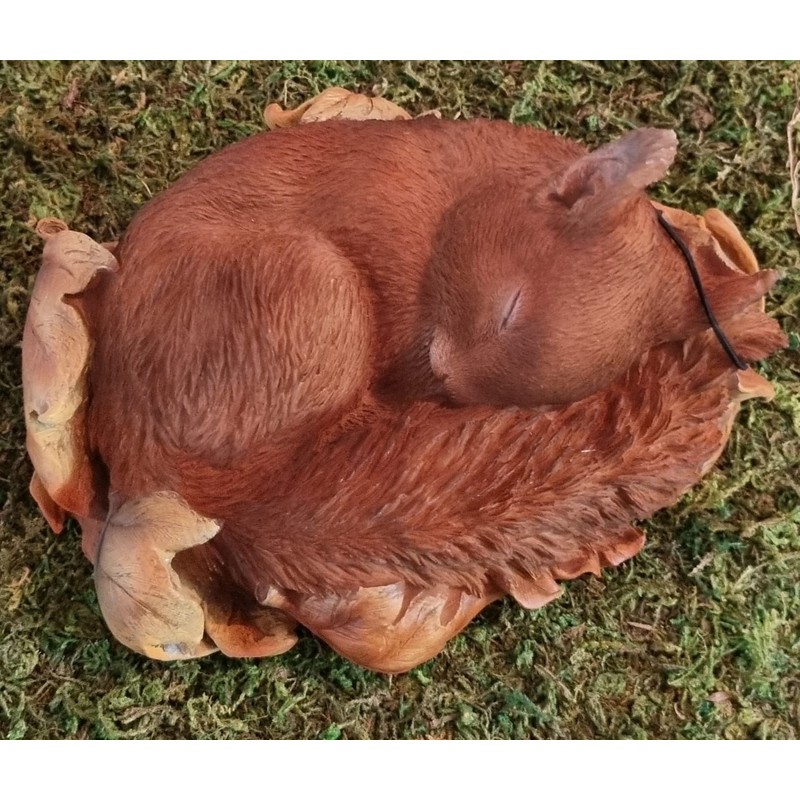Vivid Arts Sleeping Baby Red Squirrel in Leaf | Resin