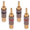 Rembus BS-119 High End Banana Plugs Gold-Plated Pack of 4