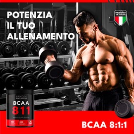 BANDINI BCAA 8.1.1 500 Tablets, Branched Chain Amino Acids BCAA 8.1.1, L-Leucine, L-Isoleucine, L-Valine with Vitamin B1 and B6, Vegan, Dietary Supplement Before and After Training