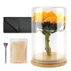 wisedry Flower Preservation Kit, Flower Drying Kit with Silica Gel