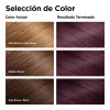 Revlon 3 PACK - REVLON COLORSILK 565 TINTE PARA CABELLO