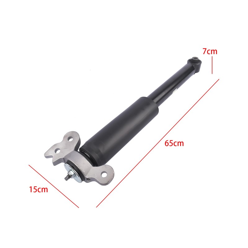 NEWZQ Set of 2 Rear Complete Shock Absorbers Replacement for