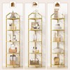 5 Tier Corner Shelf Stand, Gold Metal Frame Corner Shelf