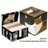 PrintCollect "Cats" Note Box with Pen Holder, Made of Sturdy