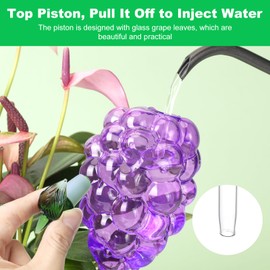 Yurucenus Plant Watering Globes, Grape Shape Self Watering Globes, Plant Watering Devices, 3PCS Purple+Green Color Clear Glass Bulbs Self Watering Planter Insert