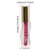HECI S-Curve Moisturizing Lip Gloss Vegan Cruelty Free Lip Oil