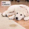 Hoover Pet Spot and Stain Remover, Pet Formula for Carpet