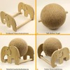 Interactive Wooden Scratch and Exercise Toy - Natural Sisal Scratching
