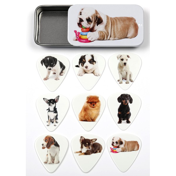 Tin of 9 Puppy Guitar Plectrums - Harmony Picks
