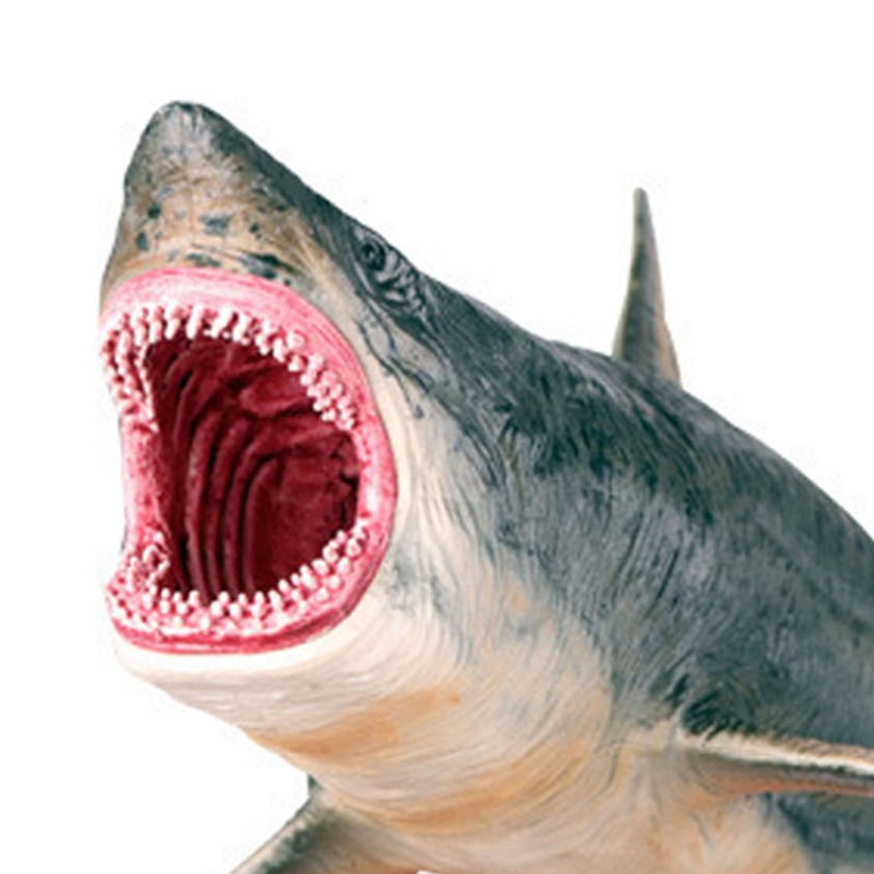 Shark Ornaments Vivid Plastic Engraving Painting Process Decorative Educational Interesting