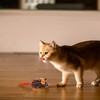 Gigwi Squeaking Cat Toy Mouse Electronic Moving Cat Toy, Automatic
