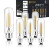 NOVELUX 5 Inch Edison Bulb, 2700K Soft White E26 Led