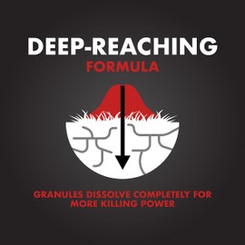 Spectracide Ant Shield Insect Killer Granules, 3 lb, Case Pack of 1