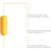 Integrative Therapeutics Theracurmin HP - High Absorption Turmeric & Curcumin