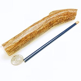 Mountain Dog Chews - Medium Moose Tines 2 Pack - Moose Antler Dog Chew - Grade A Premium - Organic - Made in USA - No Mess