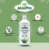 AloePro Aloe Vera Juice - Pure BioActive Aloe Vera, Vegan,