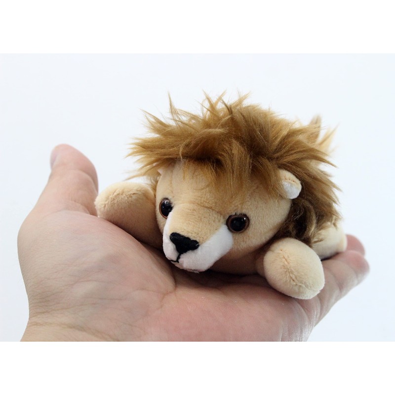 takeoff pokepuni lion