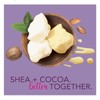 Jergens NEW! JERGENS (6 Fl. Oz.) ~Oil Infused~ ●SHEA +