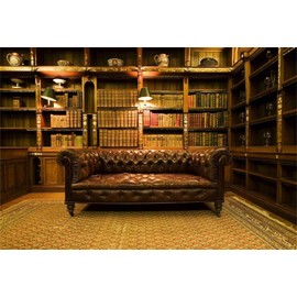 Leyiyi 8x6ft Photography Background Vintage Study Backdrop Royal Luxry Shelf Frame Office 3D Carpet Leather Sofa Retro Castle Hardcover Books Antique Curio Lantern Photo Portrait Vinyl Studio Prop