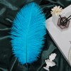 iHUFeather 10pcs Aqua Blue Ostrich Feathers Natural Bulk 12-14Inch 30-35cm