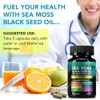 Sea Moss Black Seed Oil Ashwagandha Ginger, Sea Moss Capsule