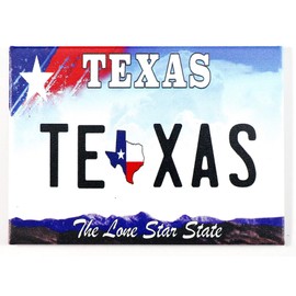 Texas License Plate Fridge Collector's Souvenir Magnet 2.5" X 3.5"