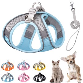 PETPUBGNZS Soft Small Dog Harness and Leash Set Step in Air Mesh Puppy Harness Leash Easy Walk Dog Harness Vest Adjustable Reflective No Pull Dog Harnesses for Small Dogs Cats (Blue Grey,XXS)