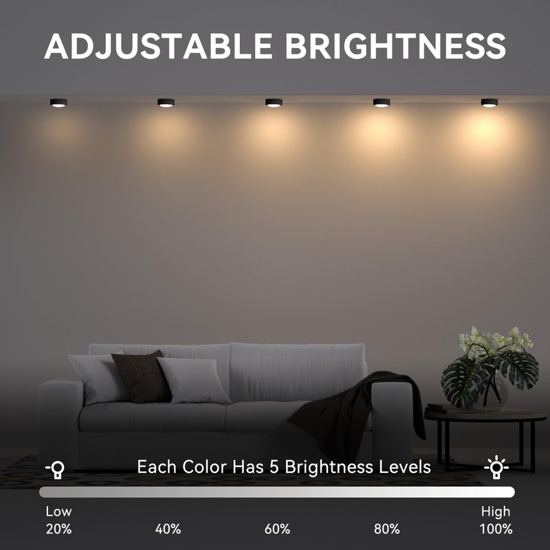 BESTDLCLITE LED Puck Lights with Remote, 13-Color Under Cabinet Lighting