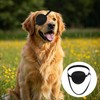 Classicseali 2pcs Eye Patch for Dogs, Adjustable Dog Eye Patch,