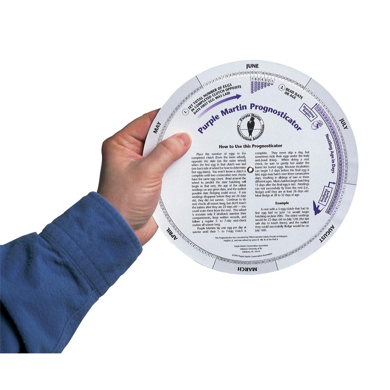 Purple Martin Conservation Laminated Photos & Prognosticator