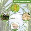GREENESAGE 100 Pack 8oz Disposable Bowls Small Paper Bowls Eco-Friendly,