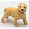 Porcelain Figurine of the American Staffordshire Bull Terrier Dog