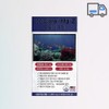 Coral Magjet 90 tablets, 3 months supply / 코랄마그젯 90정