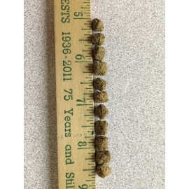 Jeffery John 1-lb - 13-lb" BULK FLOATING PELLET FISH FOOD FOR KOI GOLDFISH - POND PELLETS - 2 pounds