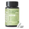 Recuperación Intestinal 4 En 1 Con Pre+probióticos+enzimas Sin Sabor