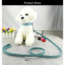 Newten Sina Fashion Dog Collar and Lead Set Bling Cute Canvas Diamante Dog Collar for Puppies, XS, blue