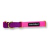 Martingale Anti Pull Dog Collar, Brass Ring and Dual Colored,