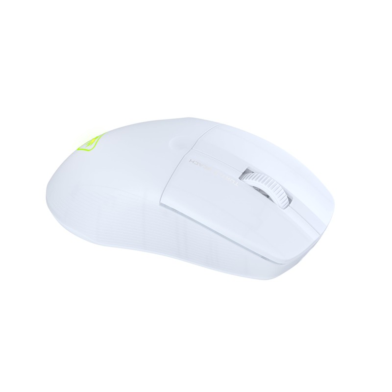 Turtle Beach Pure Air - Ultra-Light Wireless Ergonomic RGB Gaming