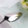 Silver Fruit Grapefruit Spoon Long Handle Stainless Steel 15.5 cm