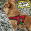 Ancol Pet Soft Blinker in Green - Water Resistant Reflective