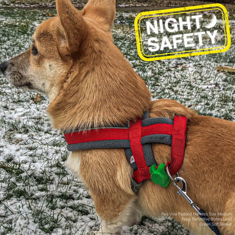 Ancol Pet Soft Blinker in Green - Water Resistant Reflective