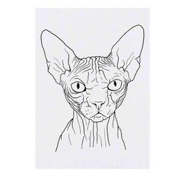 'Sphynx Cat' Temporary Tattoo - Water Resistant, Skin-Safe, Non-Toxic Transfer (TO00039074)