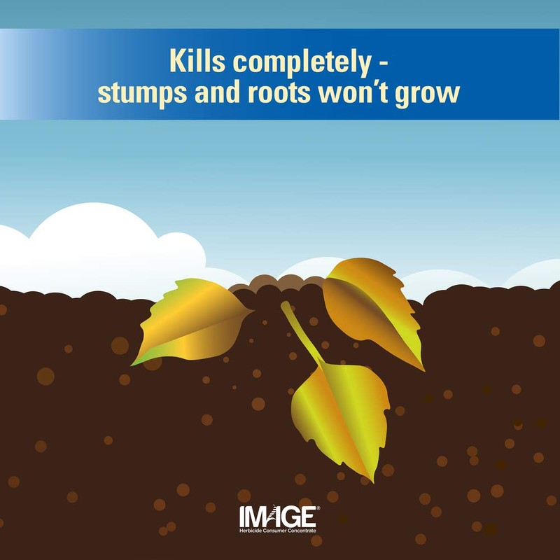 Image Brush & Vine Killer Concentrate, 32 oz