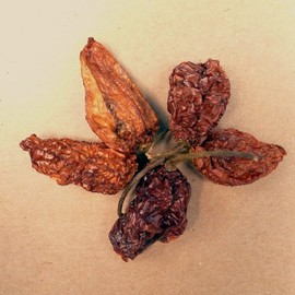 Chili Pepper, Ghost - 2 oz Pouch