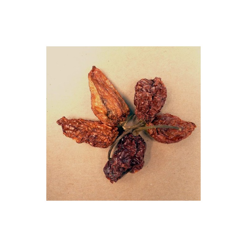 Chili Pepper, Ghost - 2 oz Pouch