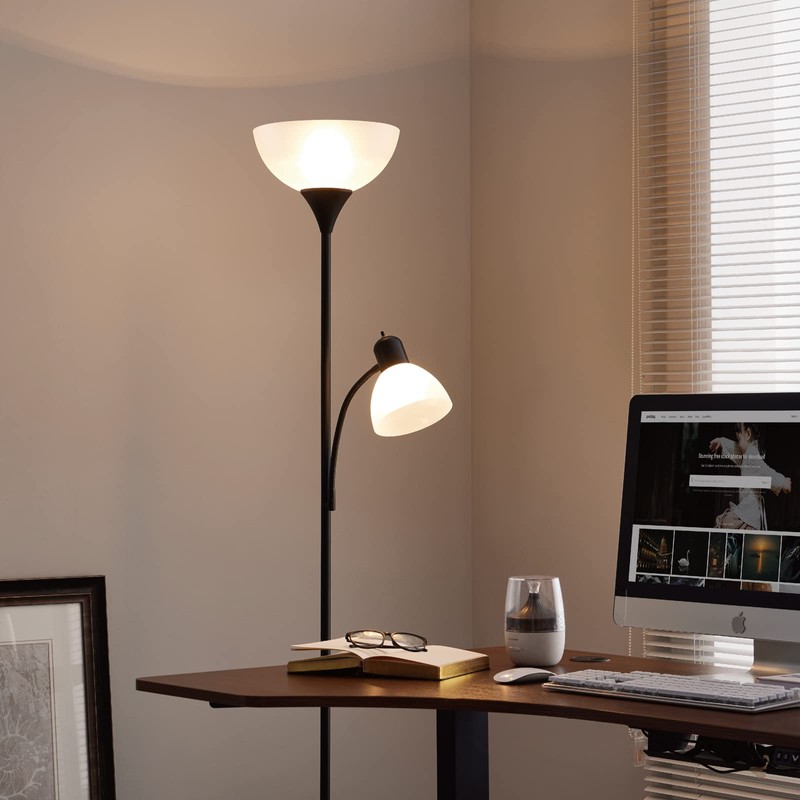 HonoDing Adjustable Silver Floor Lamp with Reading Light Susan Modern
