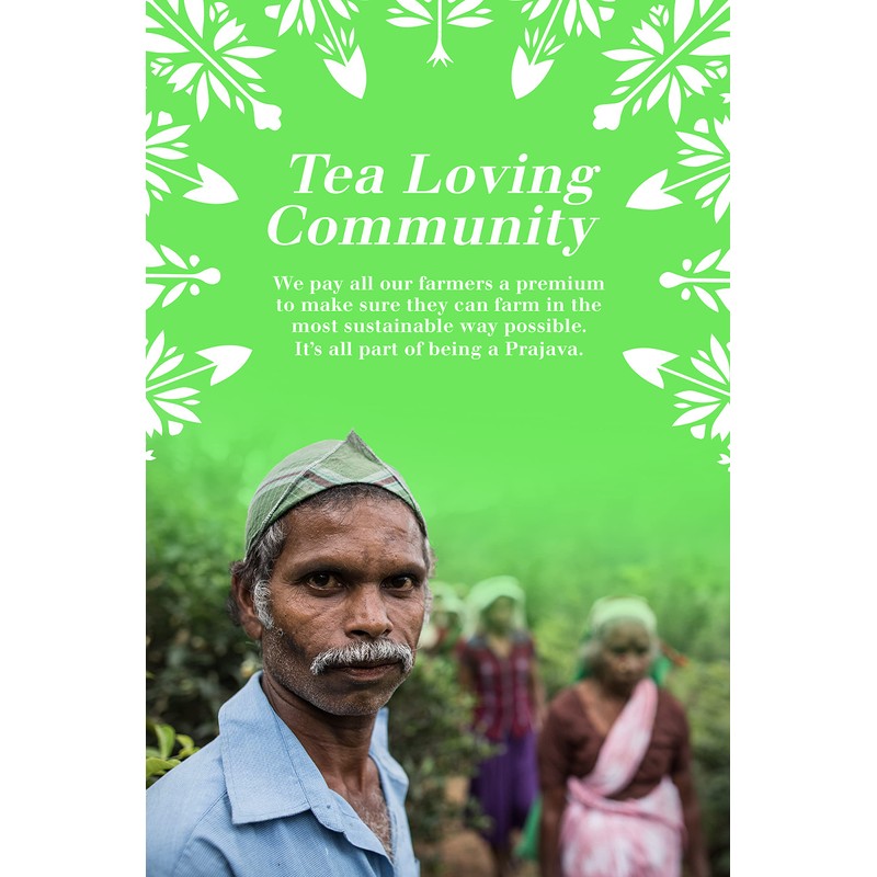 English Tea Shop Organic Green Tea & Pomegranate Tea (15