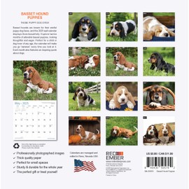 RED EMBER Basset Hound Puppies Mini 2025 Wall Calendar 12 Month | 7" x 14" Open | Thick & Sturdy Paper | Giftable | Calendar 2025