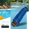 Dolphin Genuine Replacement Part — Rear Blue Brush Kit —