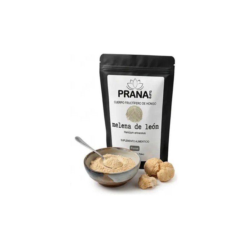 Pranature Melena De León Polvo Puro 100g